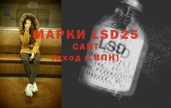 спиды Гатчина