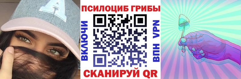 продажа наркотиков  Петровск-Забайкальский  Псилоцибиновые грибы Psilocybine cubensis 
